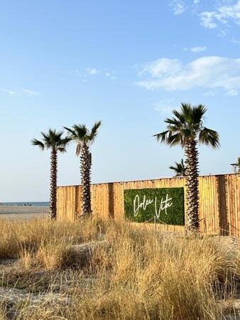 Maison Saint Cyprien Plage Dış mekan fotoğraf